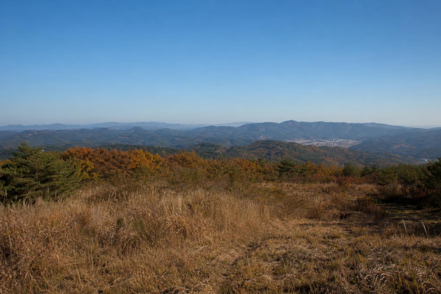 포항 인근 야산 부지의 넓은 공터를 멀리서 바라본 가을 풍경